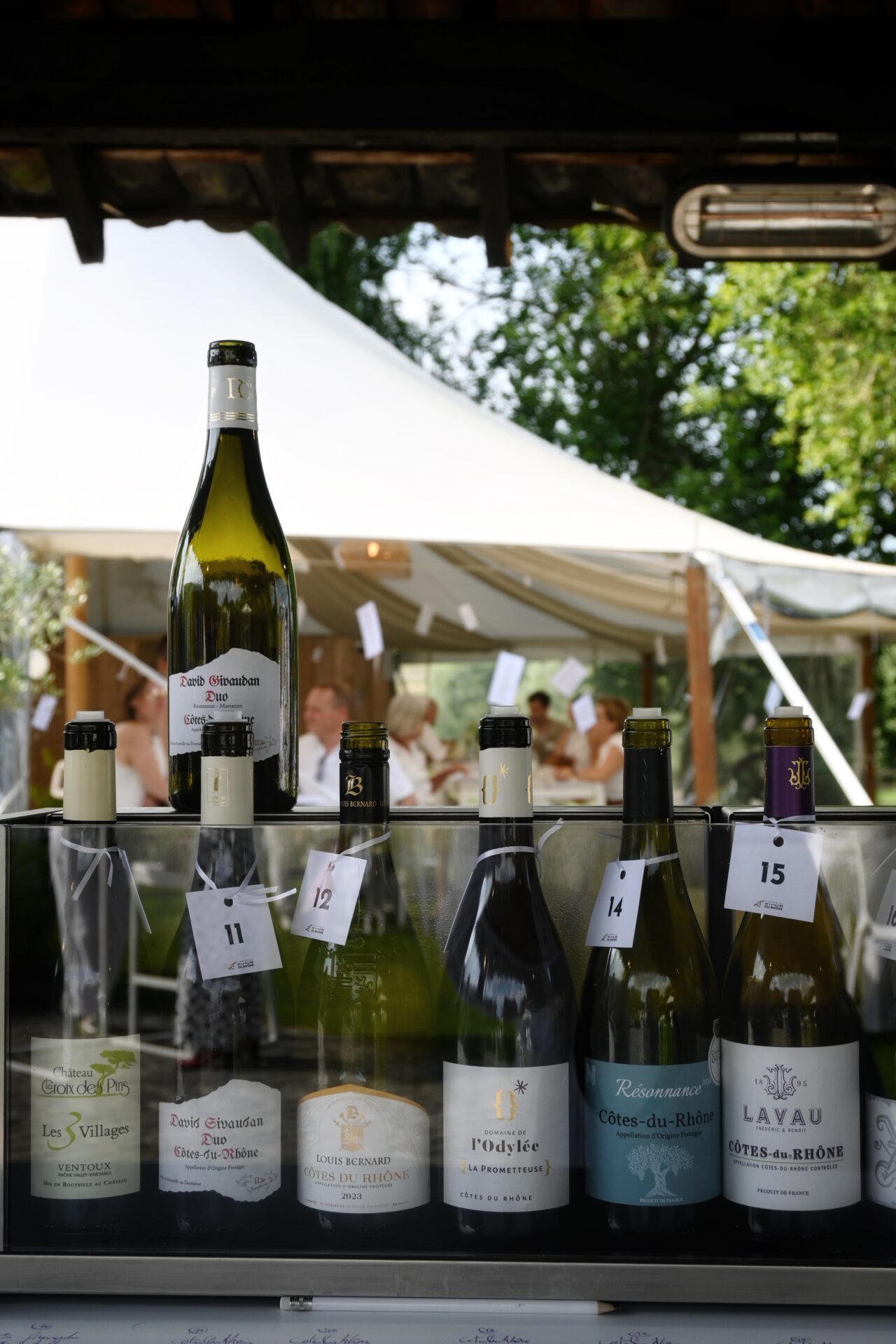 Rhône en zijn betoverende wijngaarden